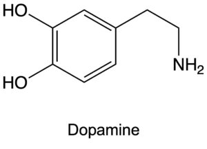 ドーパミン