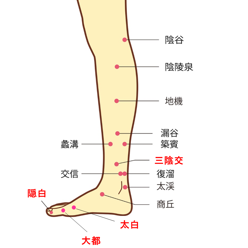 足の脾経