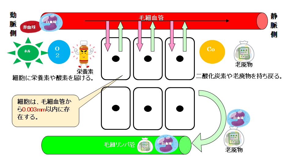 生命活動